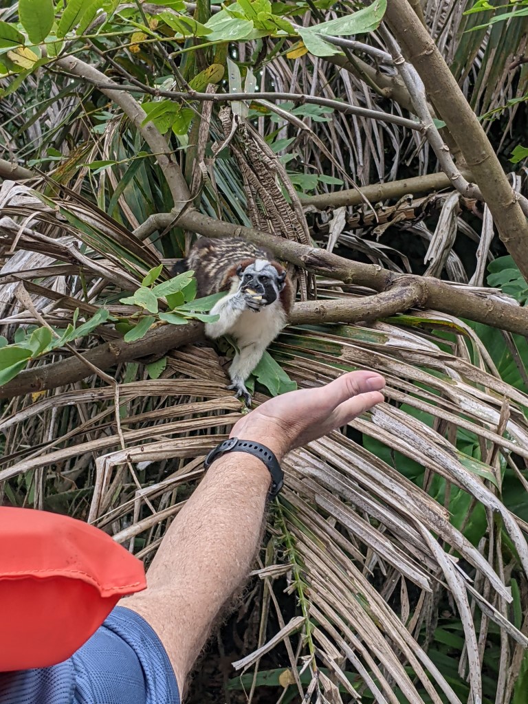 Seven Slow Days in Panama