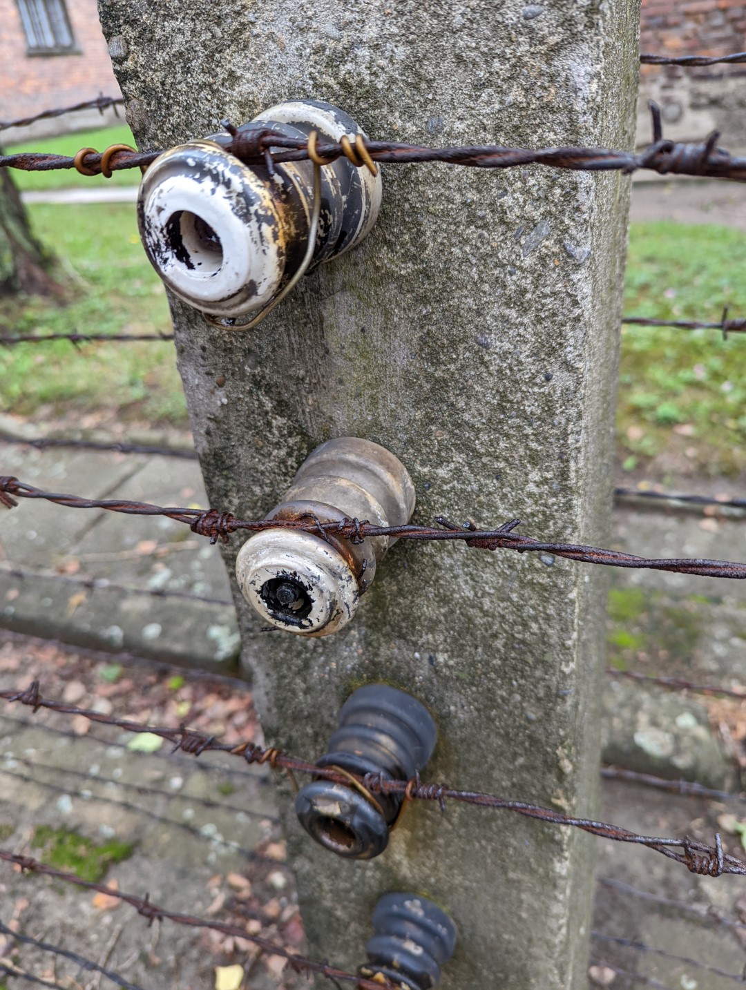 Auschwitz.  A time to reflect on horror.