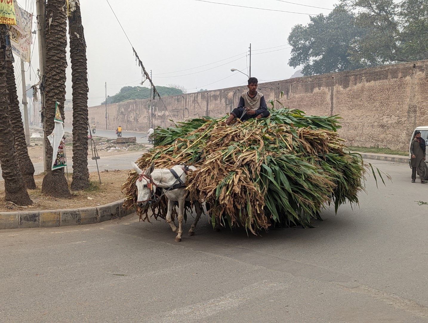 Pakistan:  the Second “Stan” in our Travels