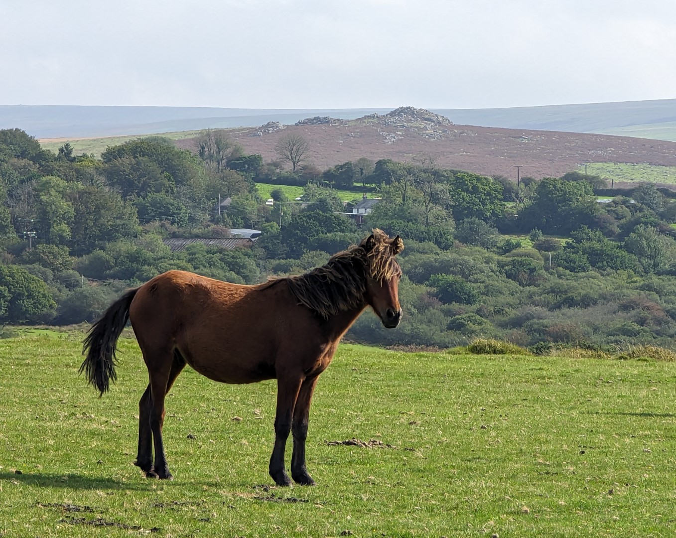 Moors, Tors, Fabled Castles, Stone Circles and Mines in Cornwall