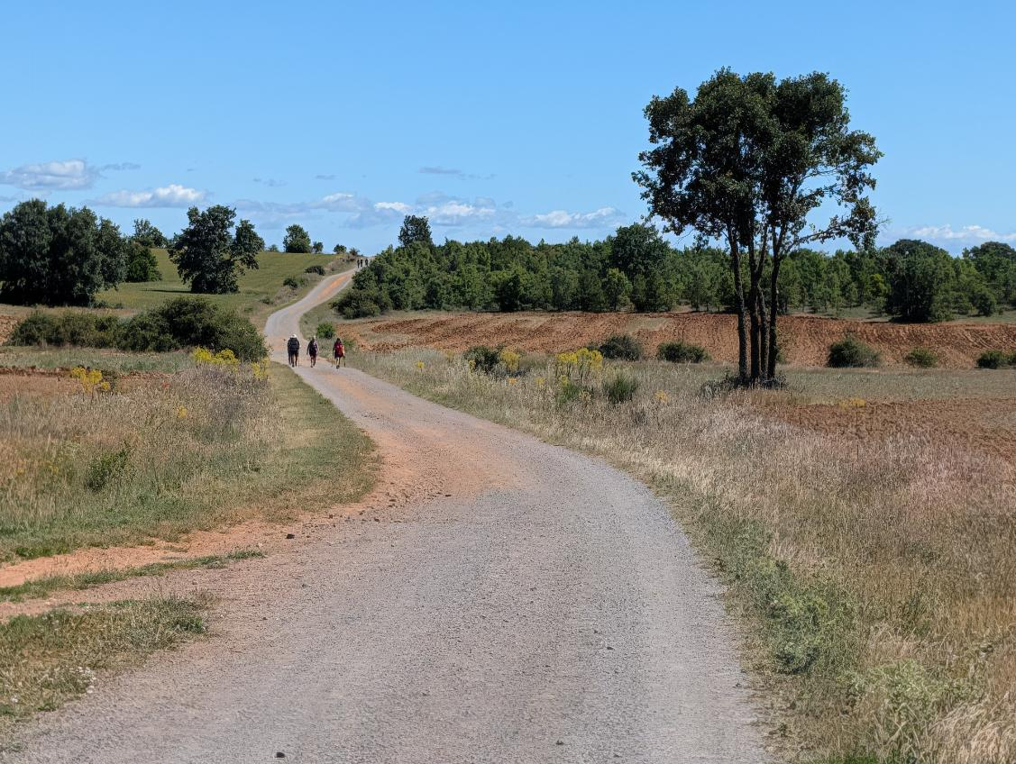 Gravel road winding through open countryside with a small group of hikers walking away under a blue sky.
